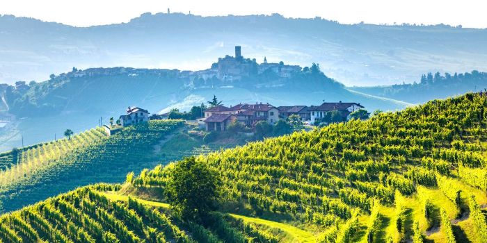 7 days in Piedmont, Langhe landscape